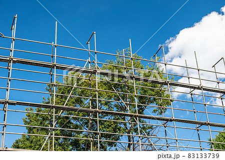 青空と樹木と単管足場 83133739