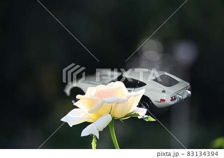 薔薇と自動車 薔薇と自動車 83134394
