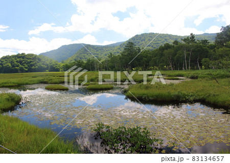 真夏の尾瀬ヶ原 群馬県 真夏の尾瀬ヶ原 群馬県 83134657