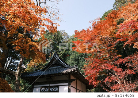 安国寺の紅葉 83134658
