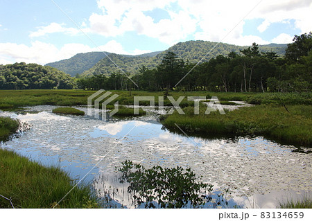 真夏の尾瀬ヶ原 群馬県 83134659