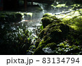 渓流のある公園の風景 83134794