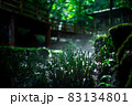 渓流のある公園の風景 83134801