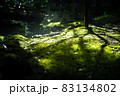 渓流のある公園の風景 83134802