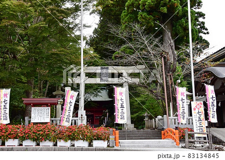 富士山東口本宮・須走口登山道　冨士浅間神社の正面鳥居と表参道 83134845