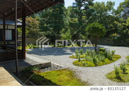 京都、廬山寺の桔梗の花が咲く源氏庭の風景です 京都、廬山寺の桔梗の花が咲く源氏庭の風景です 83135127