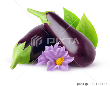 Black raw aubergines with flowers and leaves isolated on white background Black raw aubergines with flowers and leaves isolated on white background 83135487