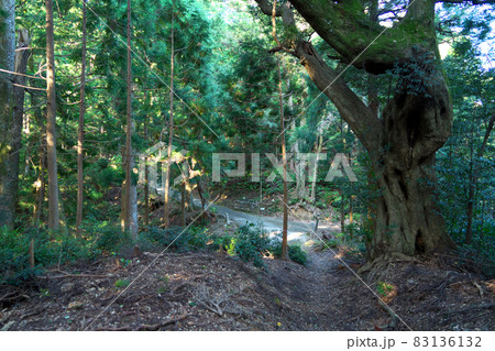 【四国八十八ヶ所】遍路道　かも道と太龍寺道の合流点　徳島県阿南市 83136132