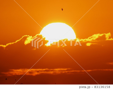 雲に隠れた日の出の太陽 雲に隠れた日の出の太陽 83136158