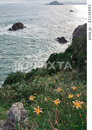 伊良湖岬　荒波打ち寄せ秋の忘れ草咲く日出園地 83136993