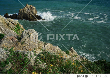 伊良湖岬　荒波打ち寄せ秋の忘れ草咲く日出園地 83137000