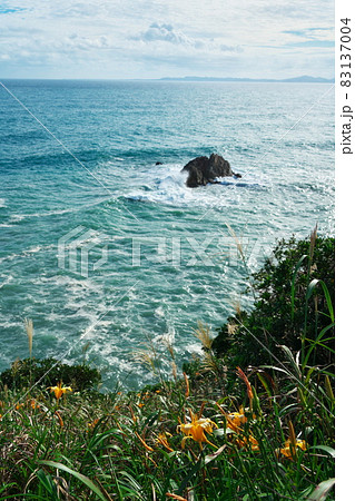 伊良湖岬　荒波打ち寄せ秋の忘れ草咲く日出園地 83137004