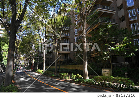 10月 渋谷422ケヤキ並木・広尾ガーデンヒルズ・広尾四丁目 10月 渋谷422ケヤキ並木・広尾ガーデンヒルズ・広尾四丁目 83137210