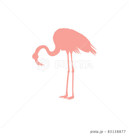 Vector image of a silhouette of a flamingo bird standing on one leg Vector image of a silhouette of a flamingo bird standing on one leg 83138877