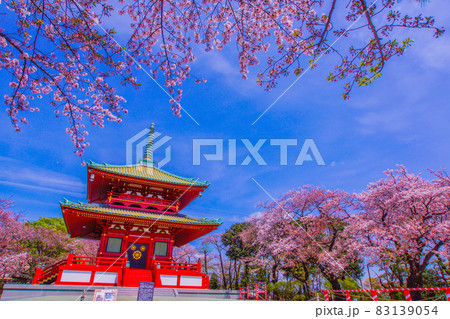 春の桜と孝道山（横浜市） 83139054