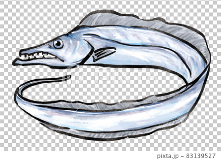 Hairtail swordfish illustration 83139527