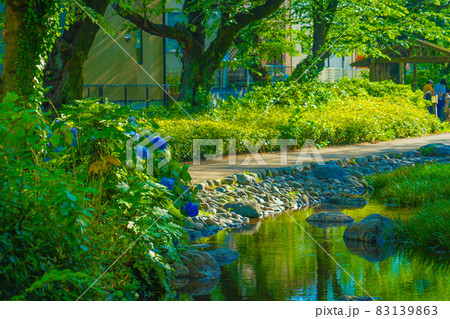 残堀川緑道公園(立川市) 残堀川緑道公園(立川市) 83139863