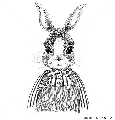 手描きイラスト＊オリジナル【白ウサギ】 手描き風のかわいい白うさぎのイラスト素材 [62504522] - PIXTA