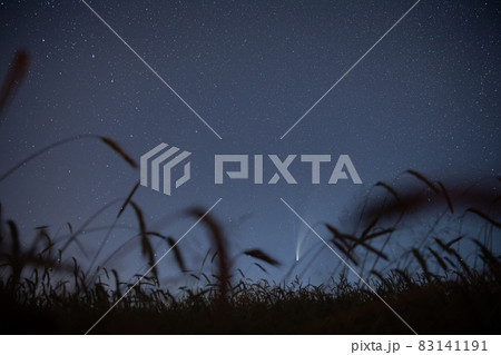 Belarus. 17 July 2020. Comet Neowise C 2020 F3 Shines Bright In The Night Starry Sky Above Young Wheat Field. Night Stars Above Summer Agricultural Field In July Month. Comet At A Distance Of 104 83141191