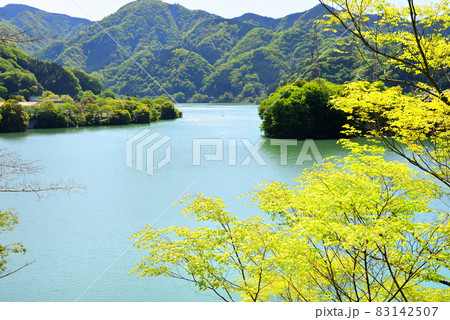 丹沢湖 神奈川県山北町の風景 丹沢湖 神奈川県山北町の風景 83142507