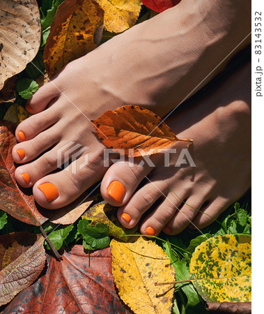 Beautiful bare woman feet close up. Orange pedicure on the autumn background. Yellow and red fallen leaves. Beautiful bare woman feet close up. Orange pedicure on the autumn background. Yellow and red fallen leaves. 83143532