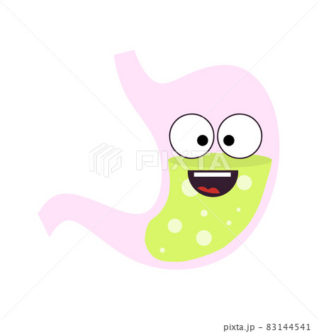 Human stomach. Internal organ of body. 83144541