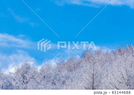 【冬素材】聖高原の霧氷とリフレクション【長野県】 【冬素材】聖高原の霧氷とリフレクション【長野県】 83144688