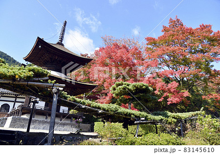 紅葉の善峯寺　多宝塔　京都市西京区 83145610