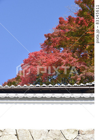 秋の善峯寺 境内の紅葉 京都市西京区 秋の善峯寺 境内の紅葉 京都市西京区 83145611