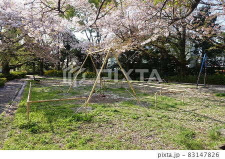 桜の咲く日本の公園 桜の咲く日本の公園 83147826
