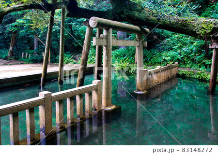 鹿島神宮 鹿島神宮 83148272