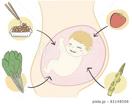 妊娠中に必要な栄養素の図解 葉酸 のイラスト素材