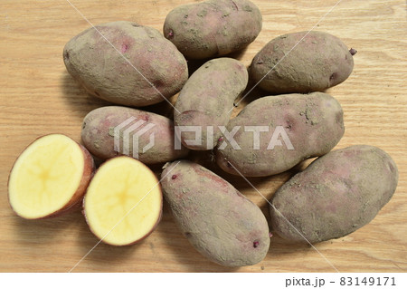 ジャガイモ レッドムーン ジャガイモ レッドムーン 83149171