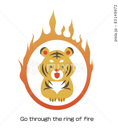 火の輪くぐりをする虎のイラスト素材 ベクター 寅年のイラスト素材