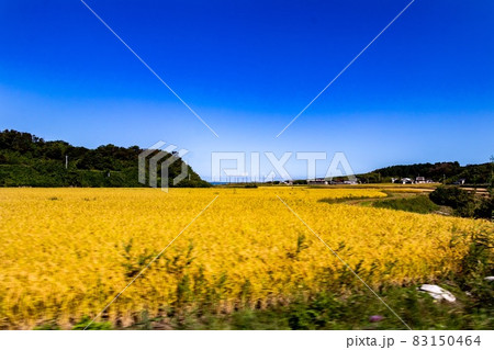 ≪秋田≫男鹿半島の稲畑 ≪秋田≫男鹿半島の稲畑 83150464