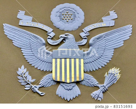 アメリカ国章エンブレムセット 楽天市場】U.S.エアフォース エンブレム ウォールディスプレイ 高さ