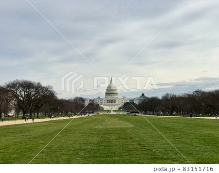 アメリカ連邦議会/曇り空、ナショナルモールの芝 83151716