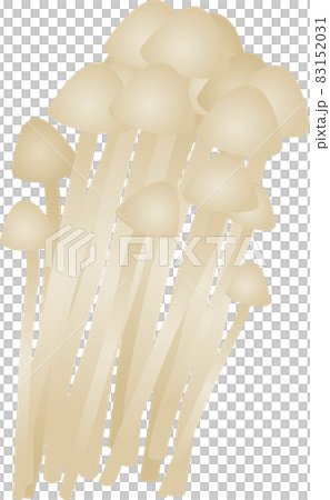 金針菇的矢量圖解 金針菇的矢量圖解 83152031
