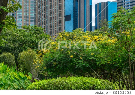 Beautiful many kinds of plants and trees in the park with background part of high business buildings in Bangkok city of Thailand Beautiful many kinds of plants and trees in the park with background part of high business buildings in Bangkok city of Thailand 83153552