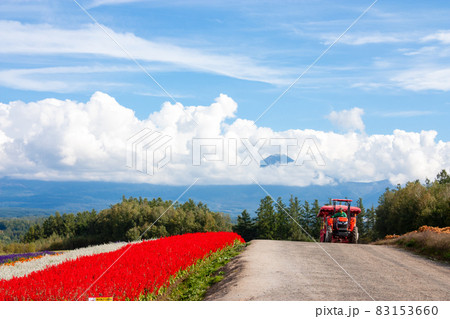 四季彩の丘 北海道 四季彩の丘 北海道 83153660