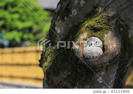 フクロウの置物 フクロウの置物 83153806