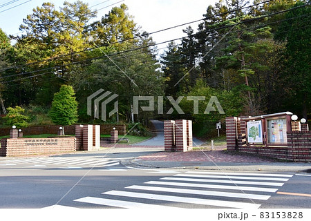 山中湖文学の森　国道138号線沿いの正門と文学の森 83153828