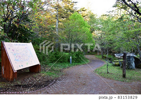 山中湖文学の森 園内散策路と案内板と道しるべ 山中湖文学の森 園内散策路と案内板と道しるべ 83153829