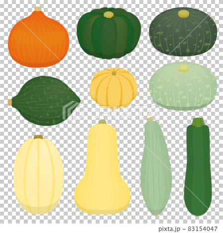各種南瓜的插圖 83154047
