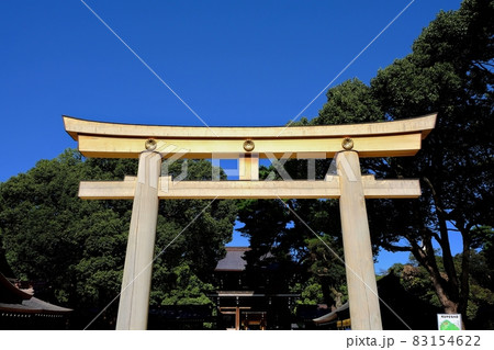 明治神宮　南神門前の鳥居 83154622