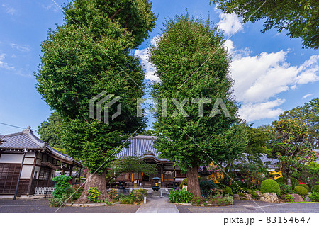 世田谷散歩、大蔵6丁目、古刹永安寺、世田谷百景、龍崋山永安寺 世田谷散歩、大蔵6丁目、古刹永安寺、世田谷百景、龍崋山永安寺 83154647