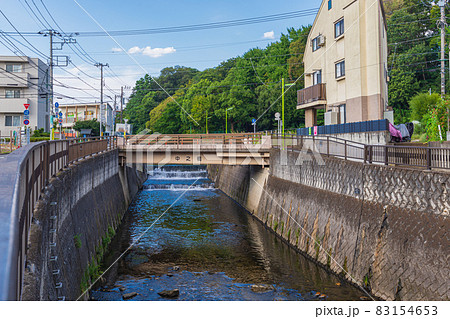 世田谷散歩、大蔵五丁目、仙川、大蔵四丁目緑地、中之橋 83154653