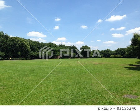 新緑の芝生広場と青空 83155240