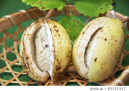 アケビ アケビ 83155317