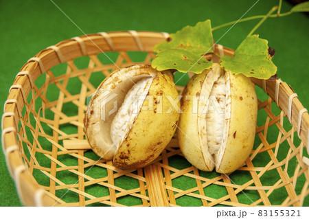 アケビ アケビ 83155321